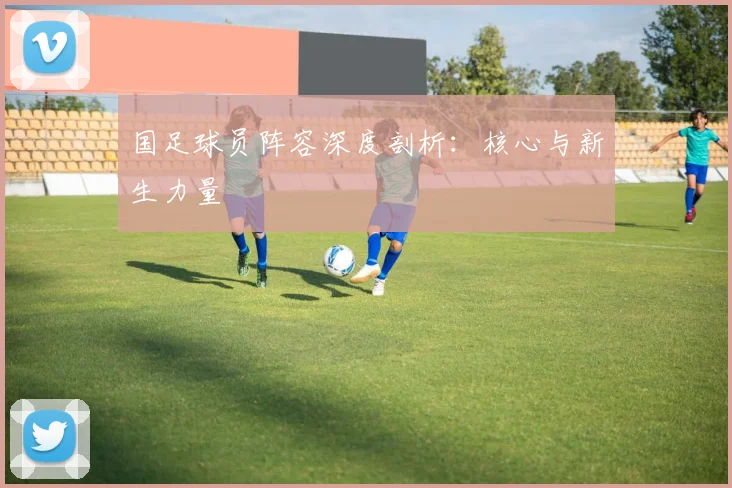 国足球员阵容深度剖析：核心与新生力量