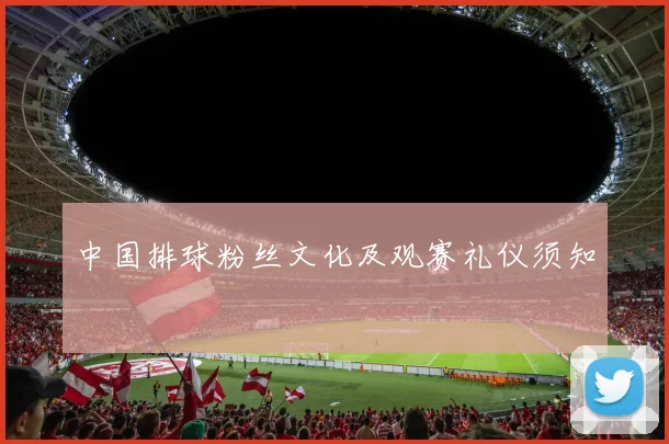 中国排球粉丝文化及观赛礼仪须知